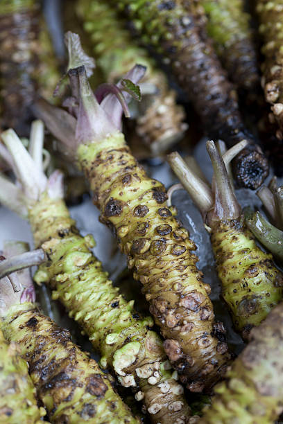 istock Wasabi roots in a market 615106250