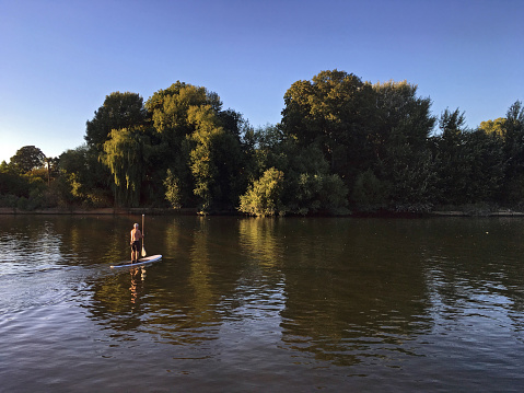 Richmond, England - August 26, 2016: A man paddleboarding on a summer day on River Thames 