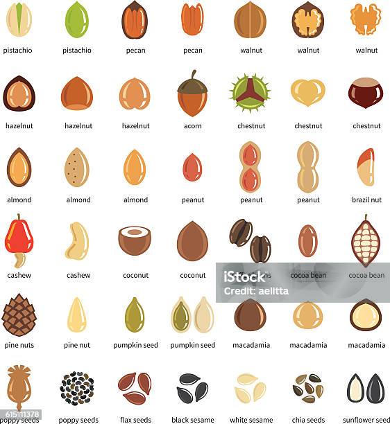 Nüsse Und Samen Iconset Stock Vektor Art und mehr Bilder von Nuss - Nuss, Pflanzensamen, Vektor