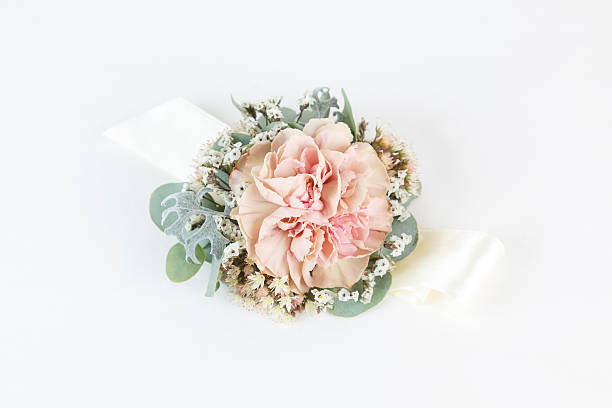 Dusty pink carnation wrist corsage isolated on white background