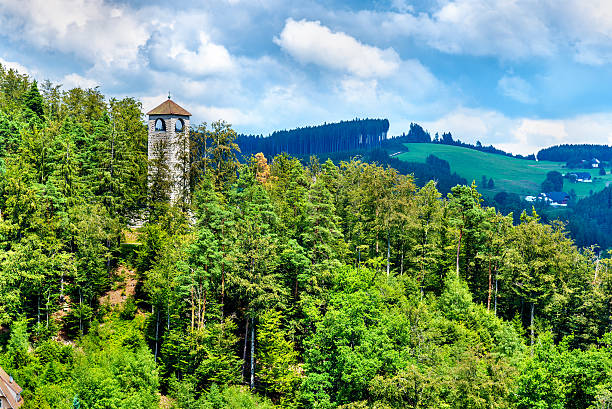 vista da cidade de triberg im schwarzwald - alemanha - black forest waterfall triberg landscape - fotografias e filmes do acervo