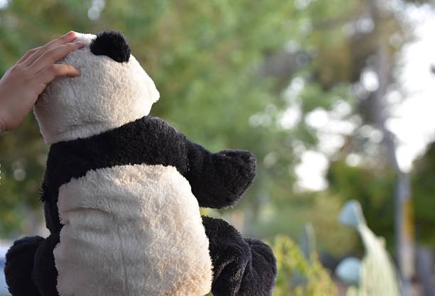 istock Little girl stroking a Panda bear 615116498