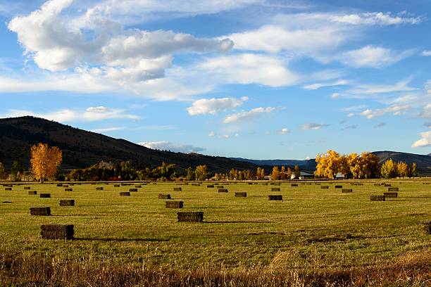 istock Colorado Farmland Near Boulder 615117772