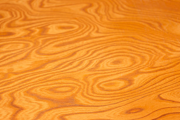 Close-up of Japanese zelkova wood pattern