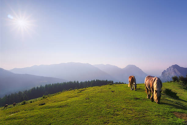 istock Horses in Urkiola mountains 615233898