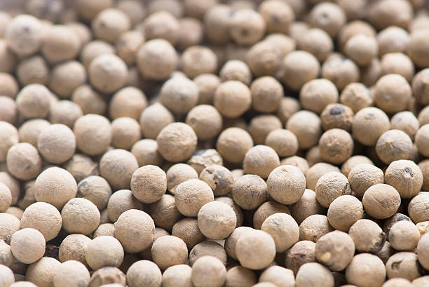 White pepper stock photo