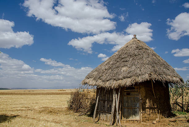 istock traditional mud and stick Ethiopian hut with a thatch roof 615238578