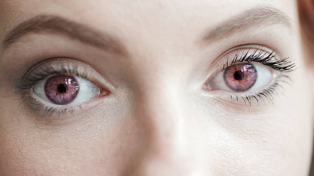 istock Beautiful eyes with purple contact lens 615239802