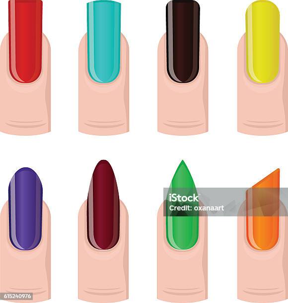 Nails Vector Set Vector Set Of Different Nails Shape Rainbow Colorful Manicure Style ...