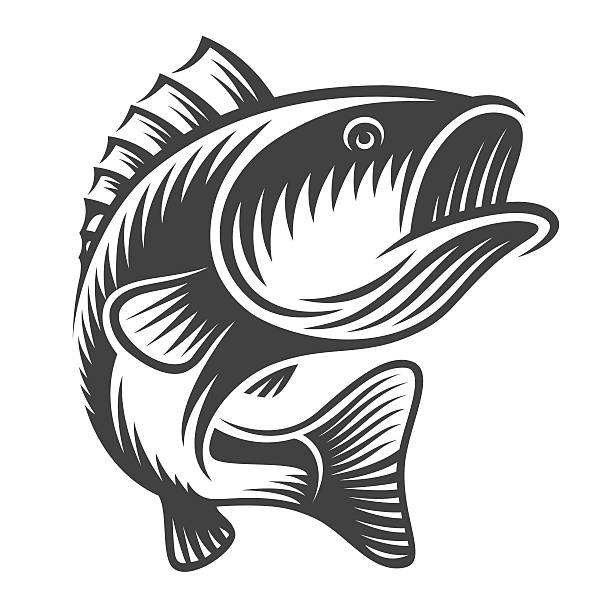 Monochrome fish bass logo Monochrome fish bass logo on white background fish salmon silhouette fishing stock illustrations