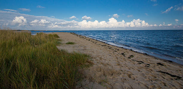 istock sand dunes on the beach by North sea! 615243872