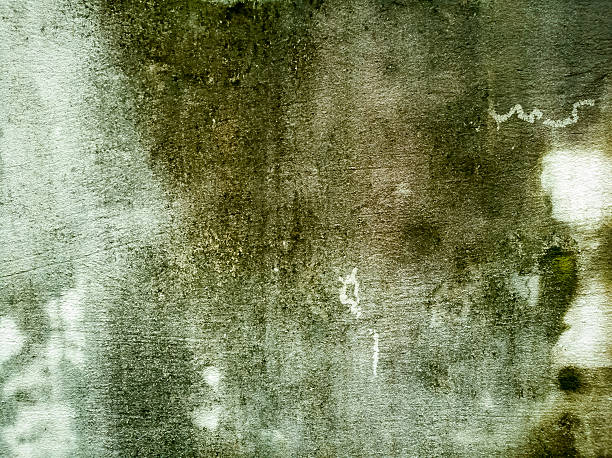 istock Vintage interior of stone wall  cement floor. background 615244248