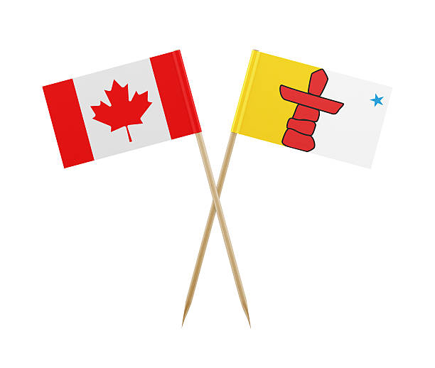 istock Tiny Canadian and Nunavut Flag on a Toothpick 615246520
