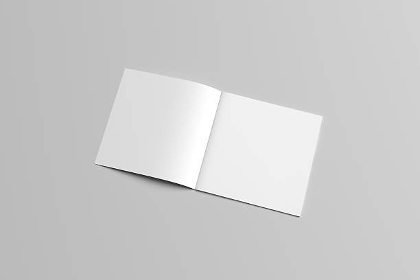 istock Brochure Mock-up / 3D Illustration 615248956