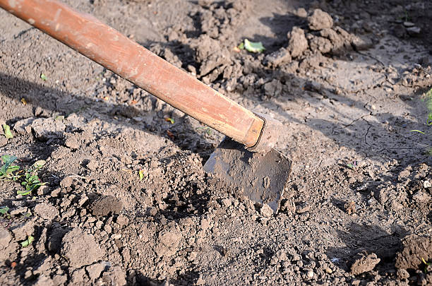 istock hoe on the farm field in the ground 615249580