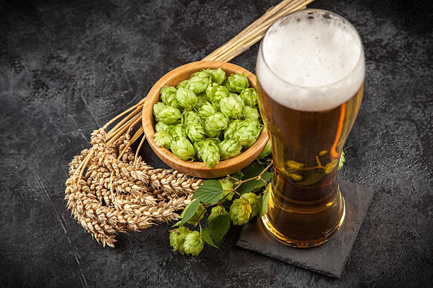 istock Beer glass on dark background 615249758