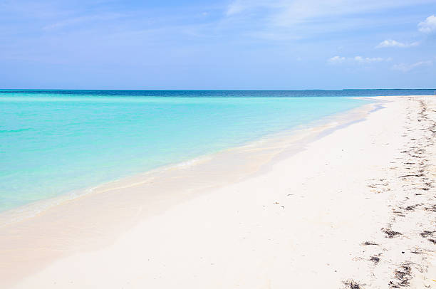 istock Secluded white sand beach in Cayo Levisa Island in Cuba 615251254