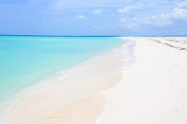 istock Secluded white sand beach in Cayo Levisa Island in Cuba 615251334
