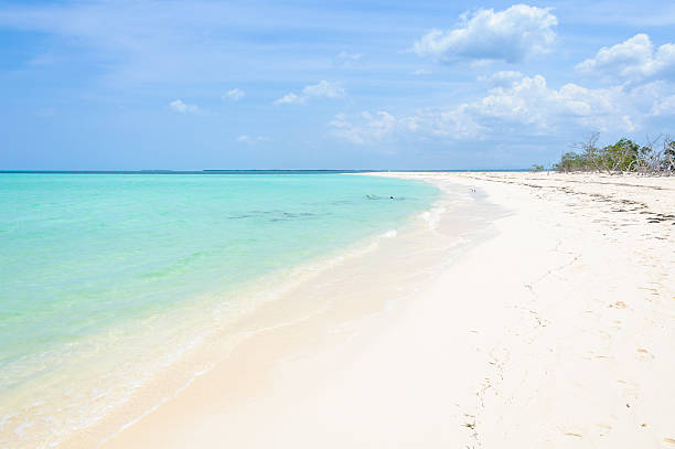 istock Secluded white sand beach in Cayo Levisa Island in Cuba 615251400