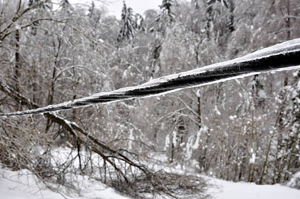 ligne électrique et arbres endommagés par la glace - blizzard ice damaged snow photos et images de collection