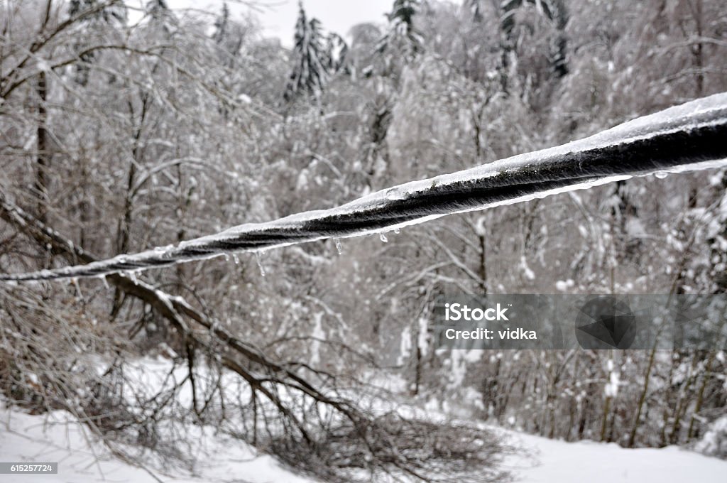 ice damaged power line and trees Power Cable Stock Photo