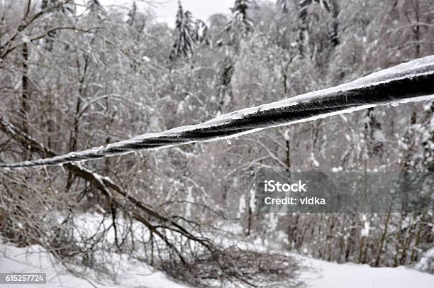 Ice Damaged Power Line And Trees Stock Photo - Download Image Now - Power Cable, Power Line, Ice