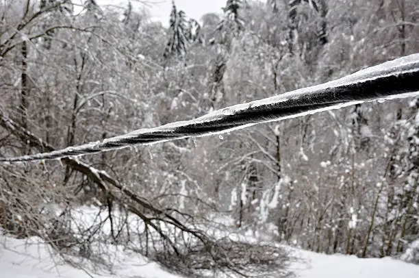 ice damaged power line and trees