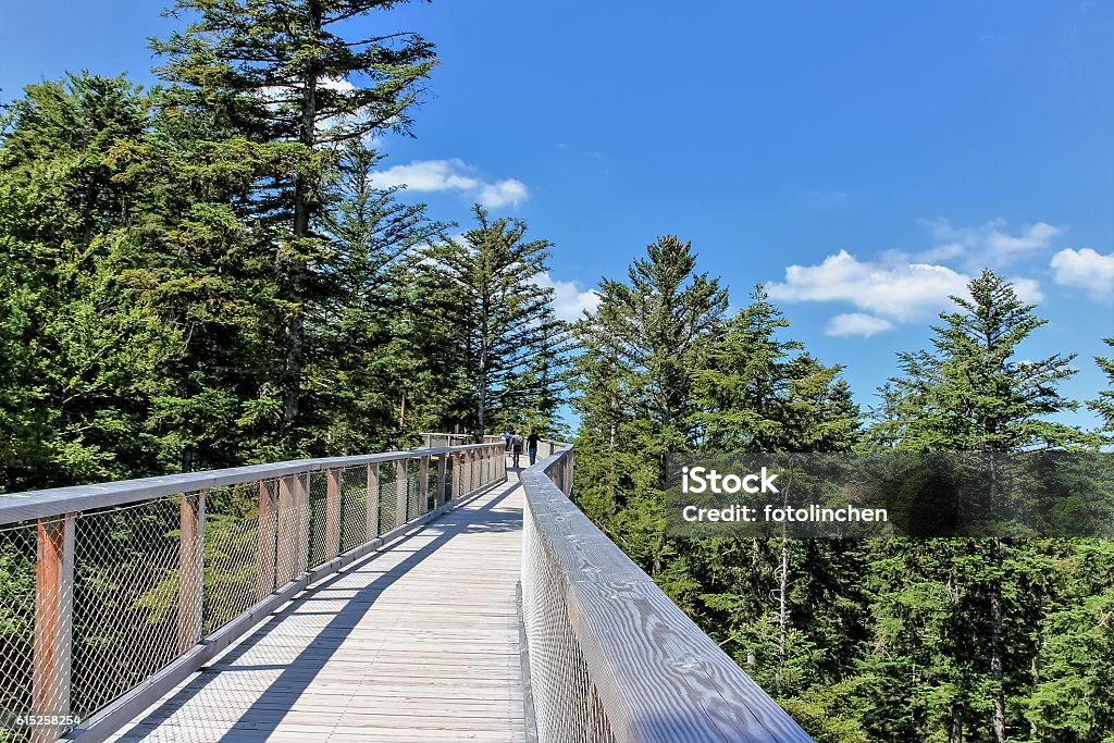 Wooden footbridge with lookout to sky Wooden footbridge with lookout to sky in the Black Forest  in Germany Footpath Stock Photo