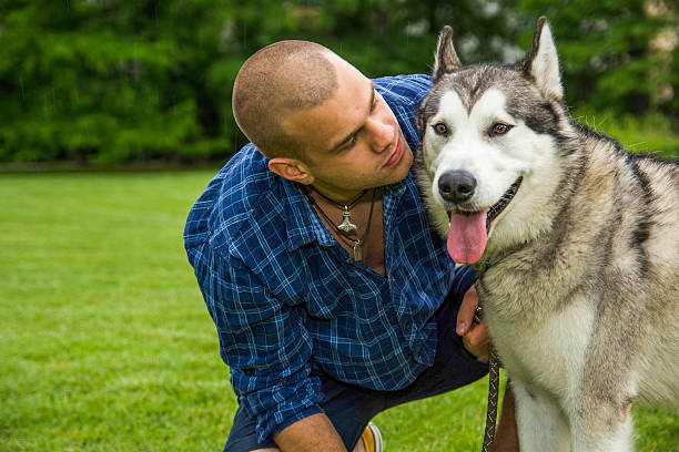 istock Hippie owner loving his Alaskan Malamute dog 615258908