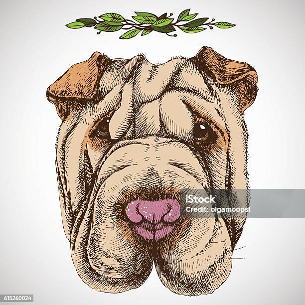 Sharpei Portrait Stock Illustration - Download Image Now - Animal, Animal Body Part, Animal Head