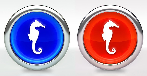 Seahorse Icon on Button with Metallic Rim. The icon comes in two versions blue and red and has a shiny metallic rim. The buttons have a slight shadow and are on a white background. The modern look of the buttons is very clean and will work perfectly for websites and mobile aps.