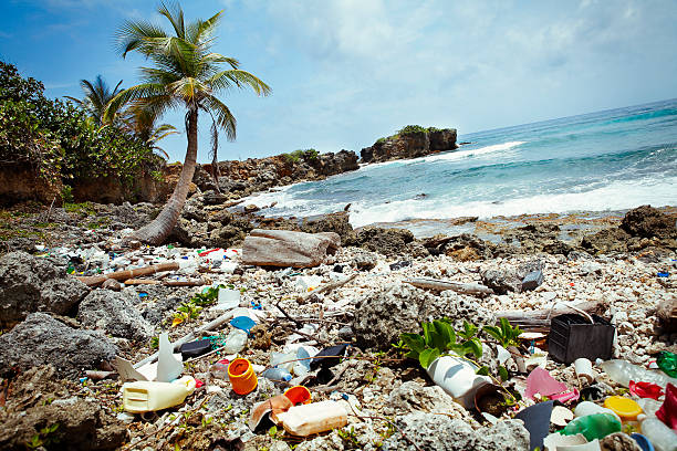 Plastic waste on the beach in Jamaica