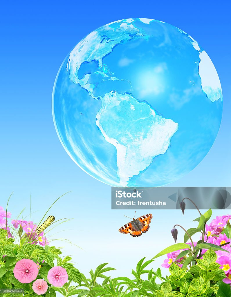 Summer grass, flowers insect and Earth on blue sky background Summer grass, flowers insect and Earth on blue sky background. Elements of this image furnished by NASA Blue Stock Photo