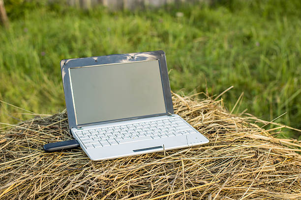istock laptop with modem lies on haystack in a meadow evening 615264228