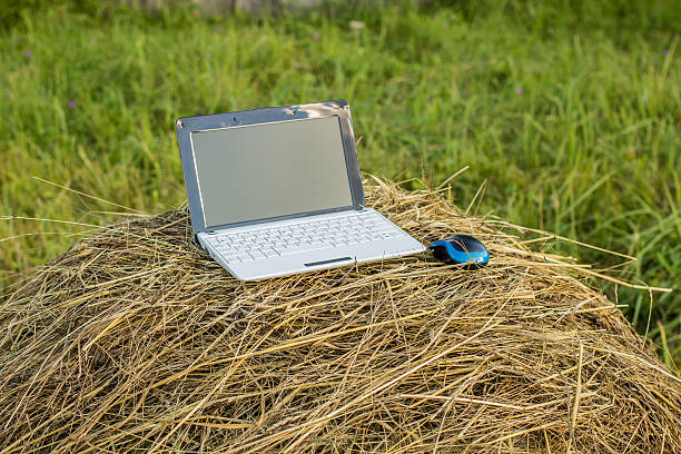istock laptop lies on haystack in a meadow in the village 615264516