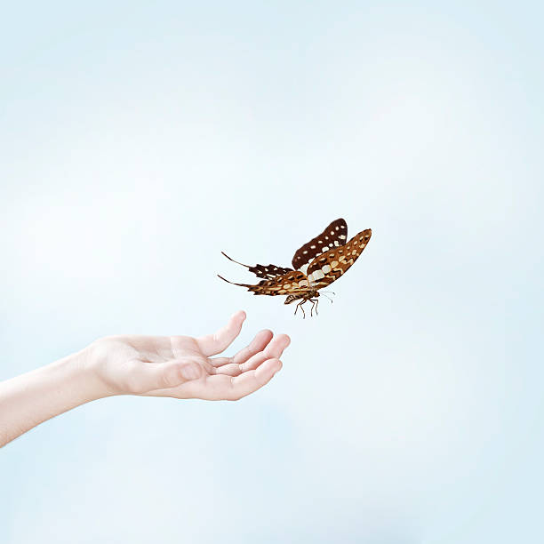 나비를 풀어주는 암컷 손 - women butterfly creativity flying 뉴스 사진 이미지