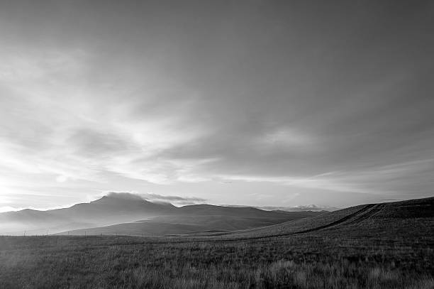 선을 따라 - montana plain prairie mountain 뉴스 사진 이미지