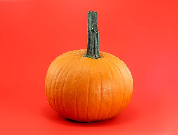 istock halloween or thanksgiving orange pumpkin on red background 615267228