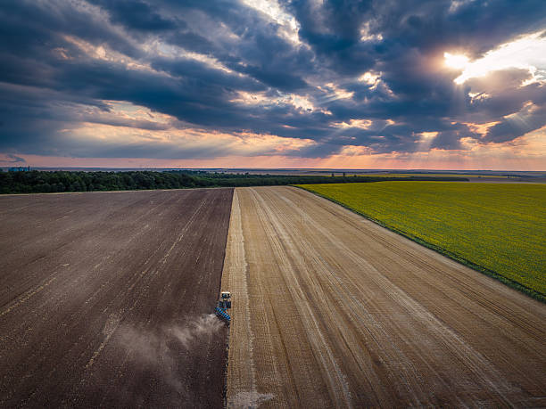 istock Tractor cultivating field at autumn 615269182
