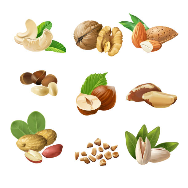 установите векторные значки орехов - people snack almond brown stock illustrations