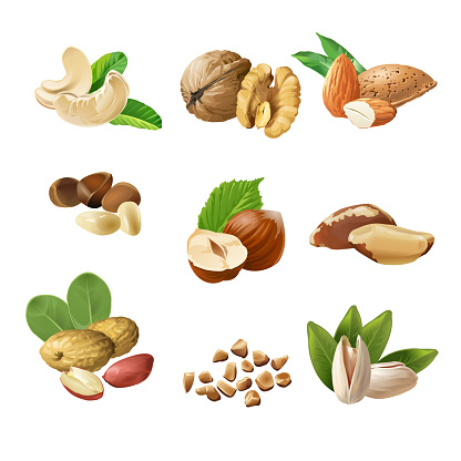 Set of vector icons of nuts - cashews, walnuts, almonds, pine nuts, hazelnuts, brazil nuts peanuts pistachio