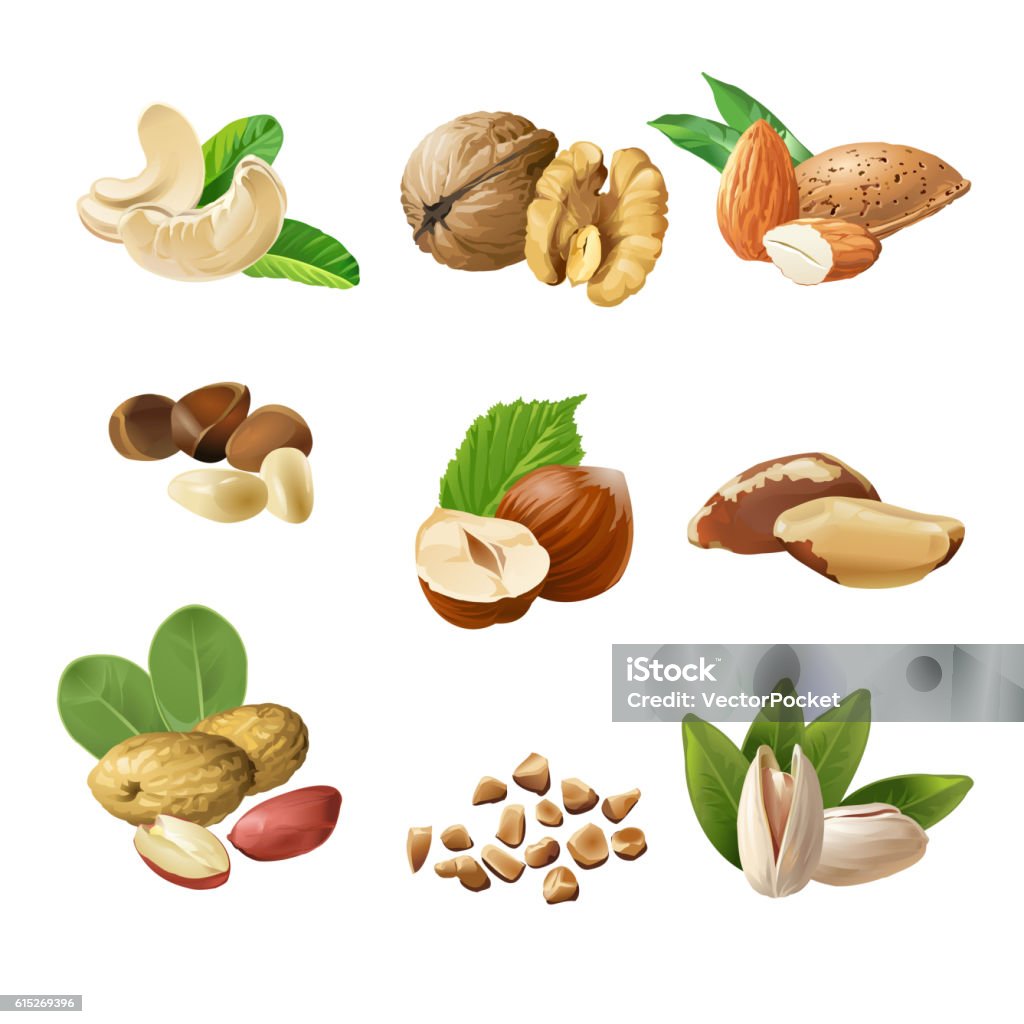 Set vector icons of nuts Set of vector icons of nuts - cashews, walnuts, almonds, pine nuts, hazelnuts, brazil nuts peanuts pistachio Walnut stock vector