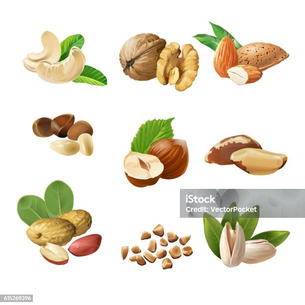 Set Vector Icons Of Nuts Stock Illustration - Download Image Now - Walnut, Nut - Food, Almond