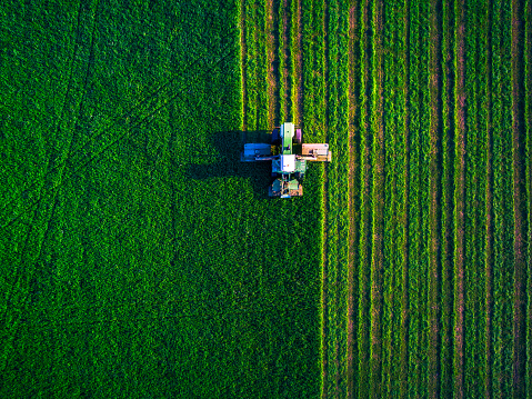Tractor segar green field photo