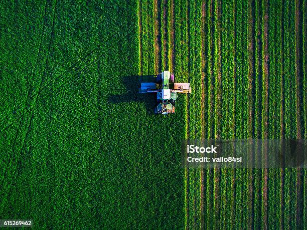 Photo libre de droit de Tracteur Tondre La Pelouse Verte Field banque d'images et plus d'images libres de droit de Agriculture - Agriculture, Champ, Vue aérienne