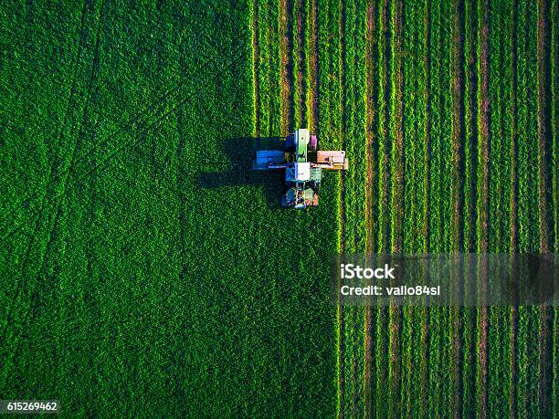 トラクター芝刈りグリーンフィールド - 農業のストックフォトや画像を多数ご用意 - 農業, 田畑, 空撮