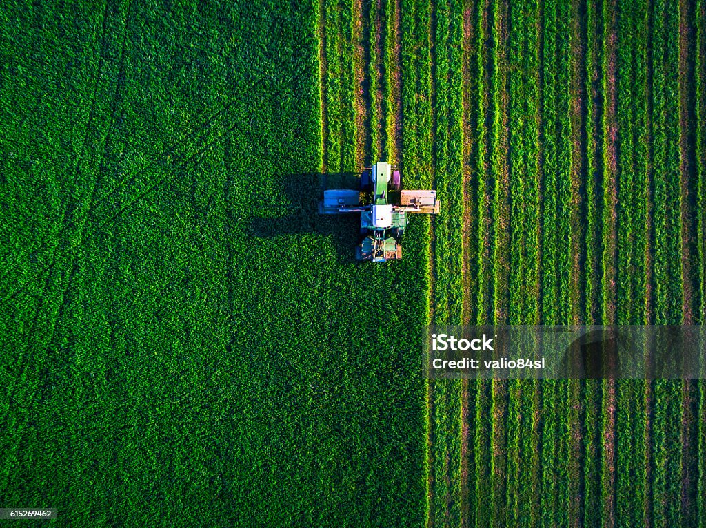 Tractor mowing green field Tractor mowing green field, aerial view Agriculture Stock Photo