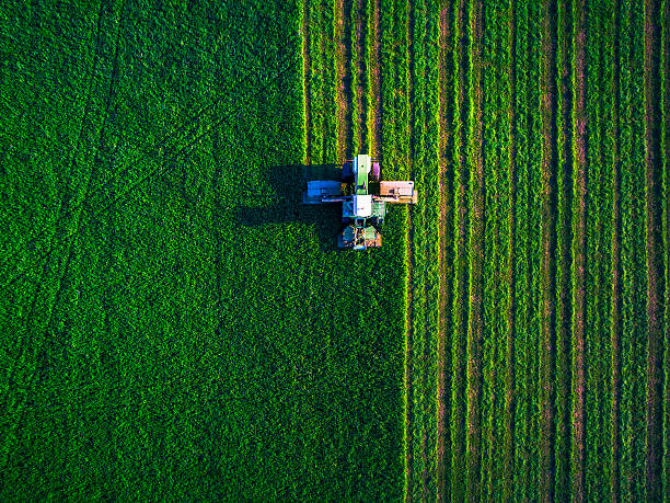 Tractor mowing green field Tractor mowing green field, aerial view agricultural machinery photos stock pictures, royalty-free photos & images