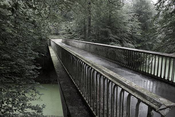 Within the entirety of a seemingly lost World's Fair creation in 1958, the Heysel Park presents some of the most overgrown and beautiful nature seen in Western Europe.
