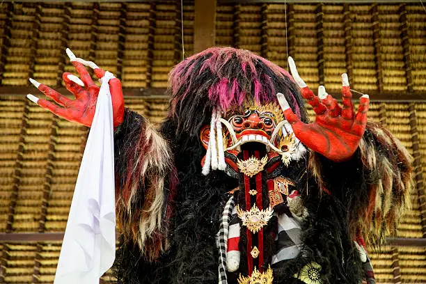 Photo of Balinese Traditional Animal Dancing Costume. Dancing for the Gods.